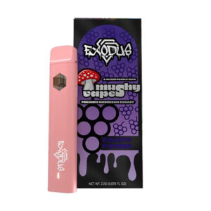 2.2g Disposable Grape Punch